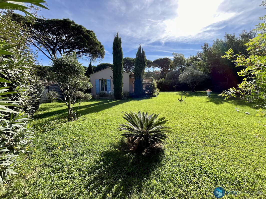 Maison à RAMATUELLE