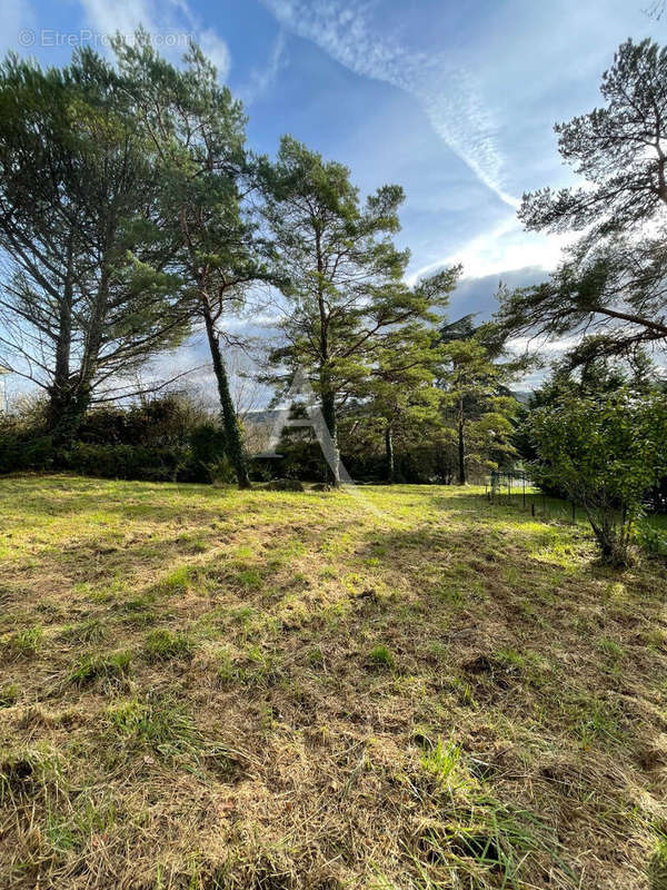 Terrain à CHISSAY-EN-TOURAINE