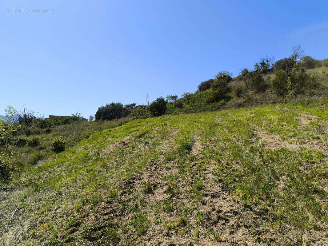 Terrain à LIMOUX