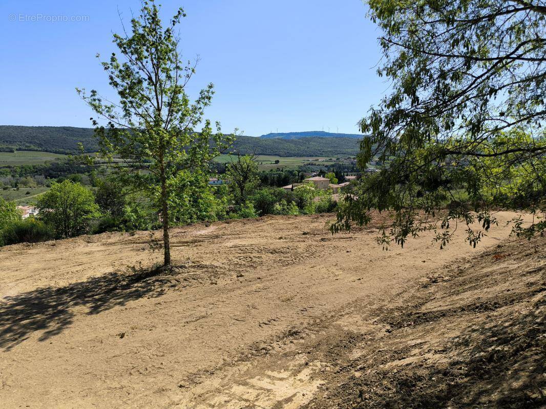 Terrain à LIMOUX