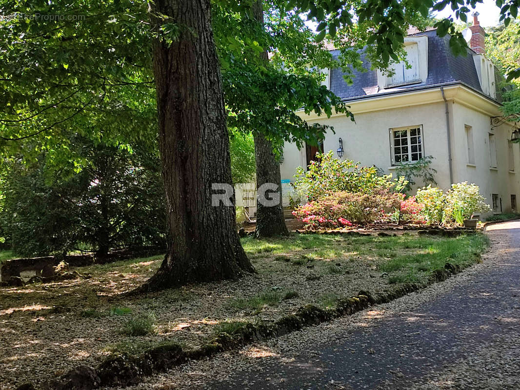 Maison à BLOIS