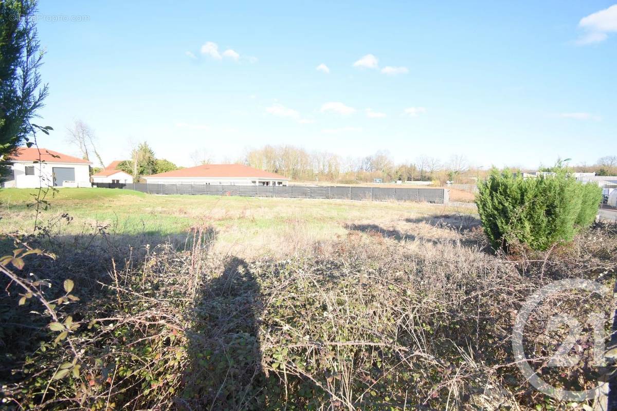 Terrain à CREUZIER-LE-VIEUX