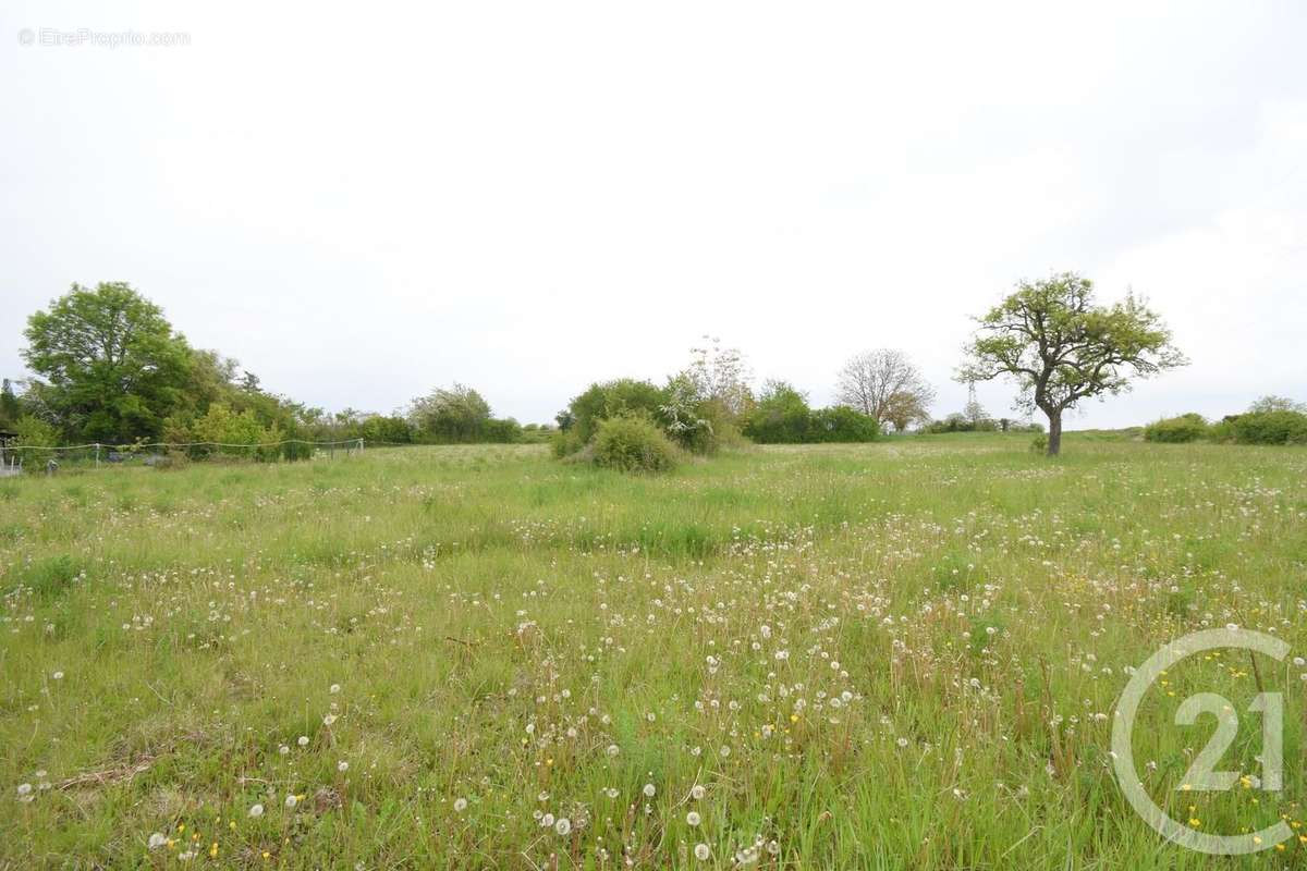 Terrain à CUSSET