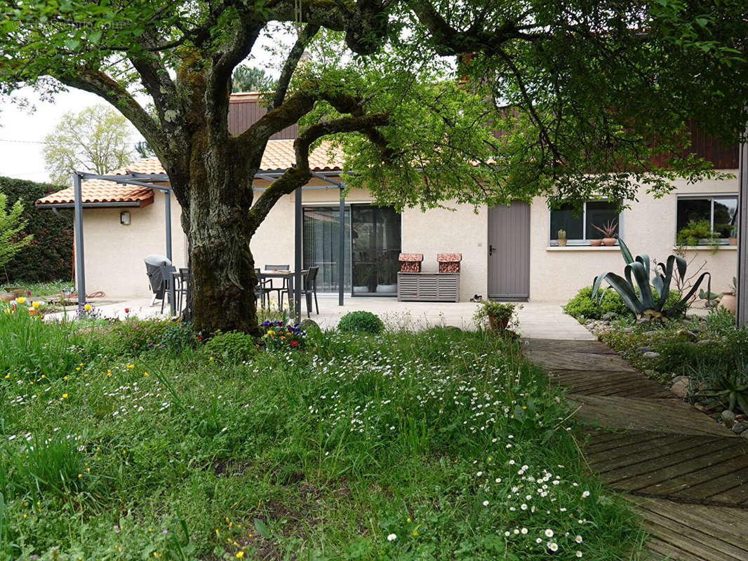 Maison à SAINT-MEDARD-EN-JALLES