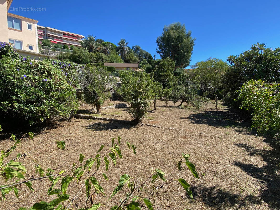 Terrain à CANNES