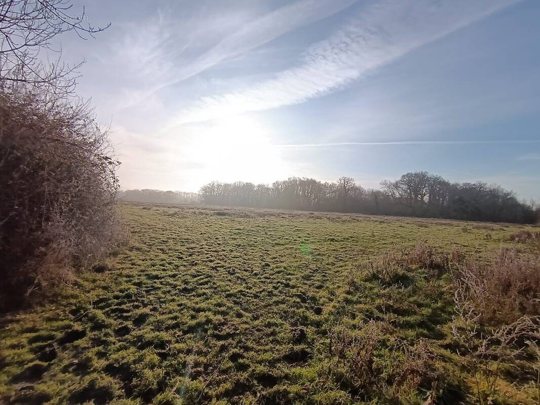 Terrain à VENDEUVRE