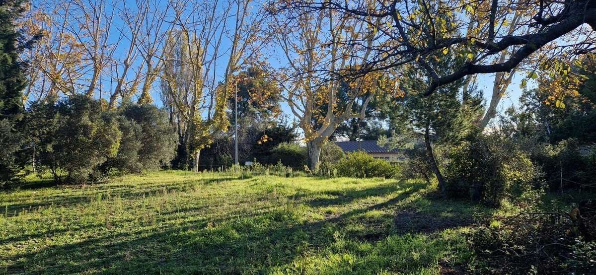 Terrain à MAUSSANE-LES-ALPILLES