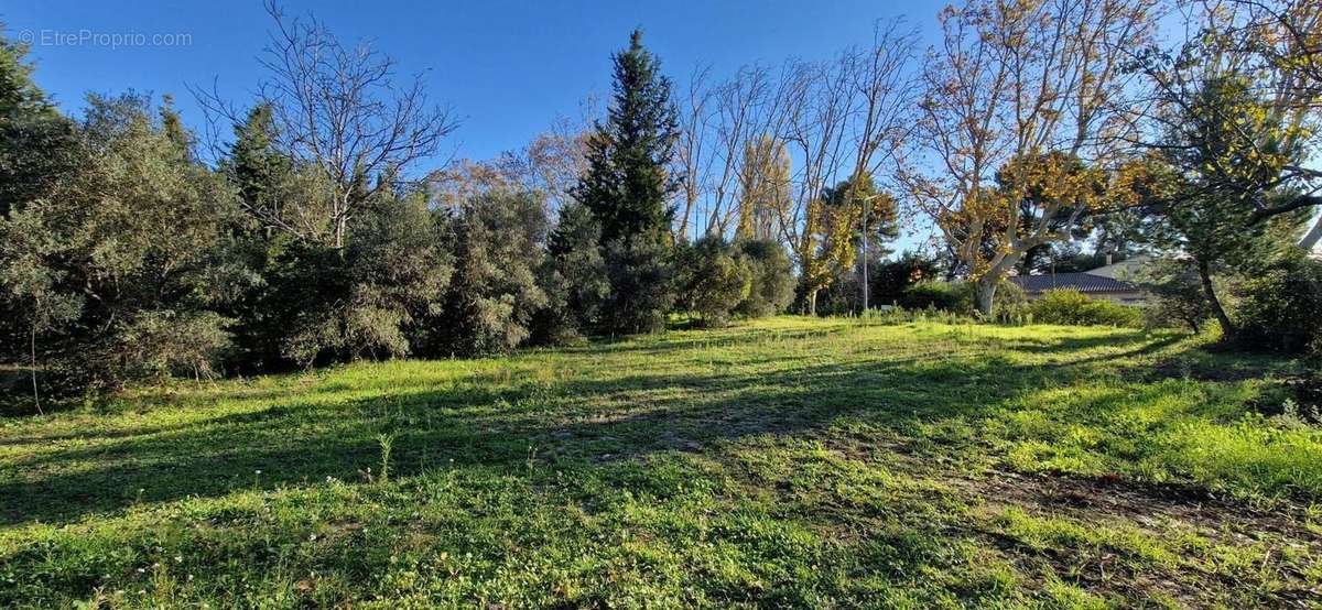 Terrain à MAUSSANE-LES-ALPILLES