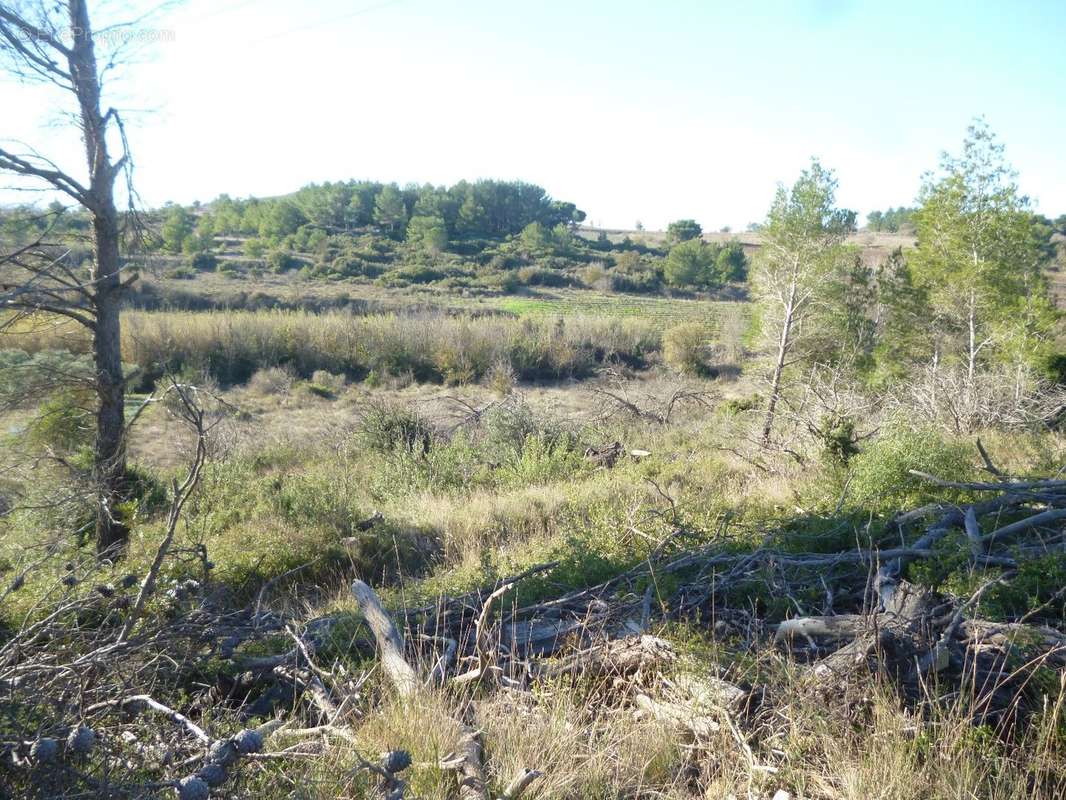 Terrain à LESPIGNAN