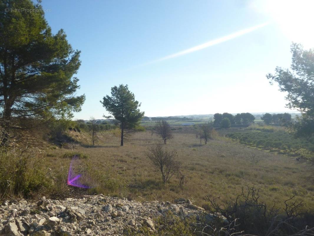 Terrain à LESPIGNAN