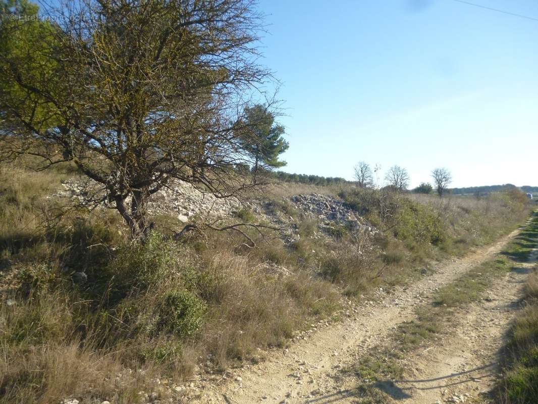 Terrain à LESPIGNAN