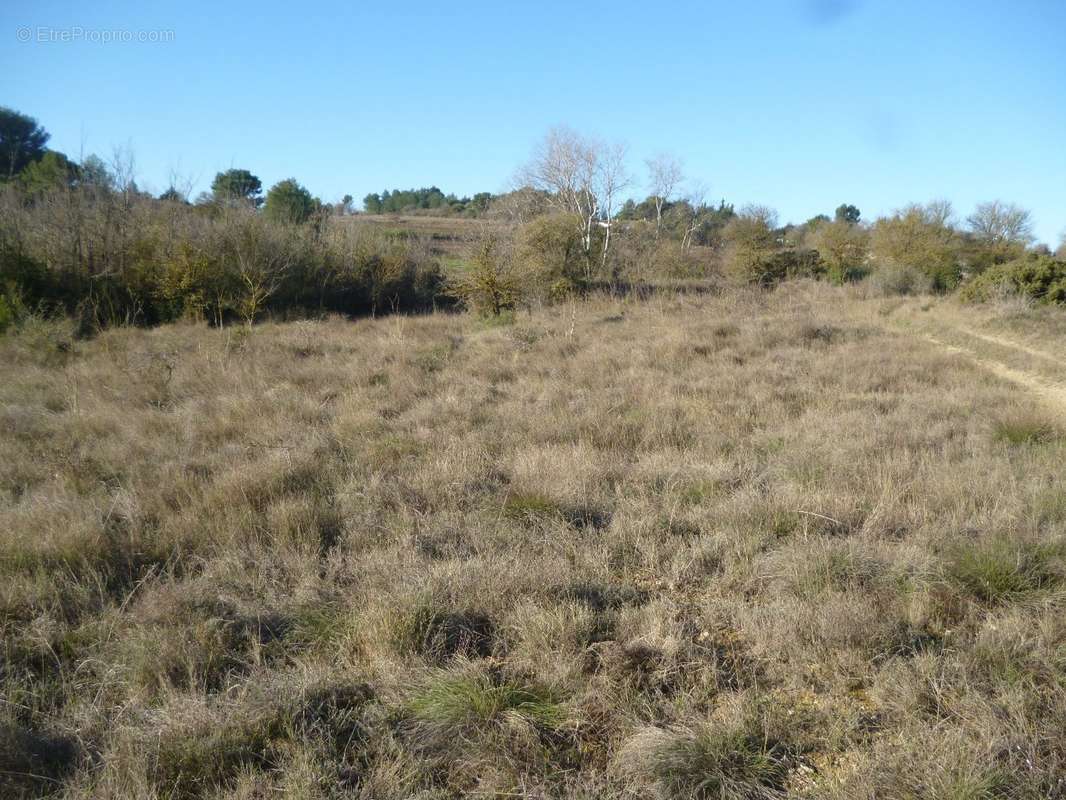 Terrain à LESPIGNAN