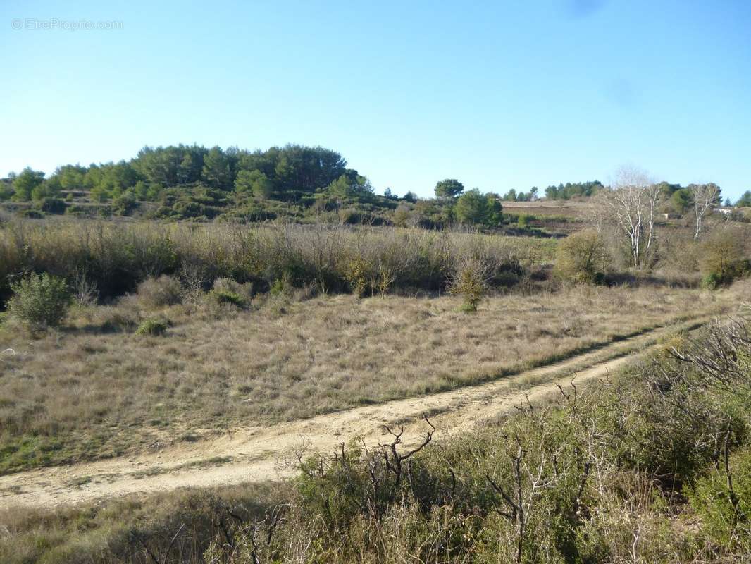 Terrain à LESPIGNAN