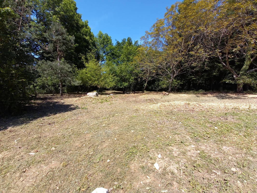 Terrain à SAINT-EGREVE