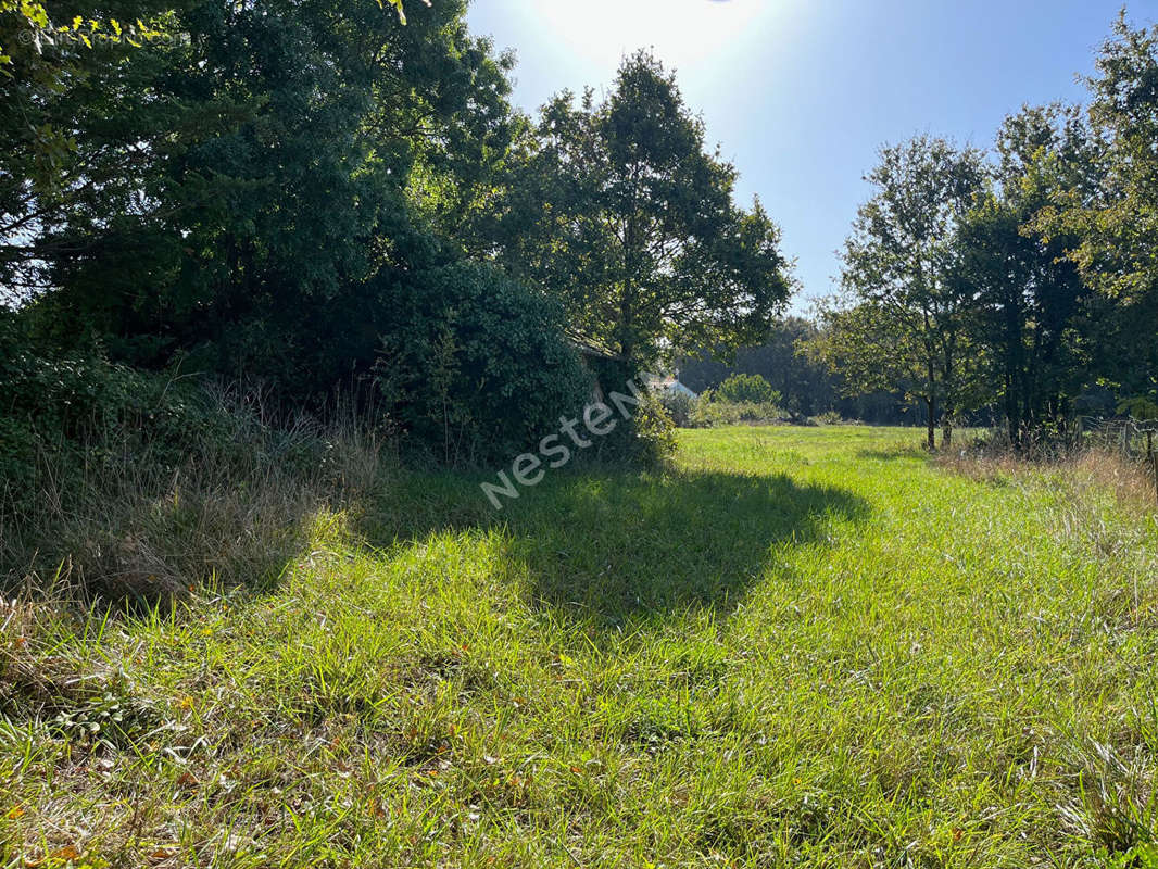 Terrain à SAINT-URBAIN