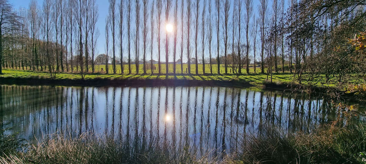 Terrain à SAINT-PAUL-MONT-PENIT