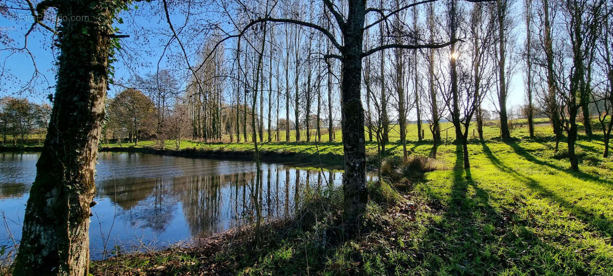 Terrain à SAINT-PAUL-MONT-PENIT