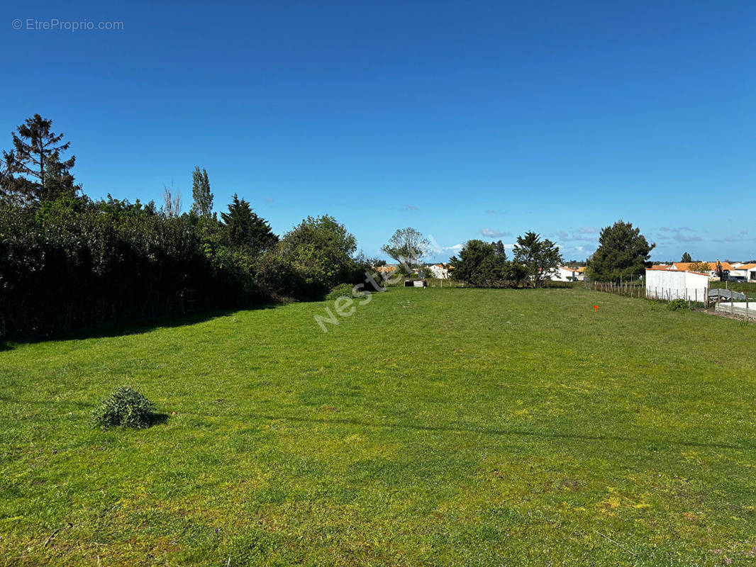 Terrain à BEAUVOIR-SUR-MER