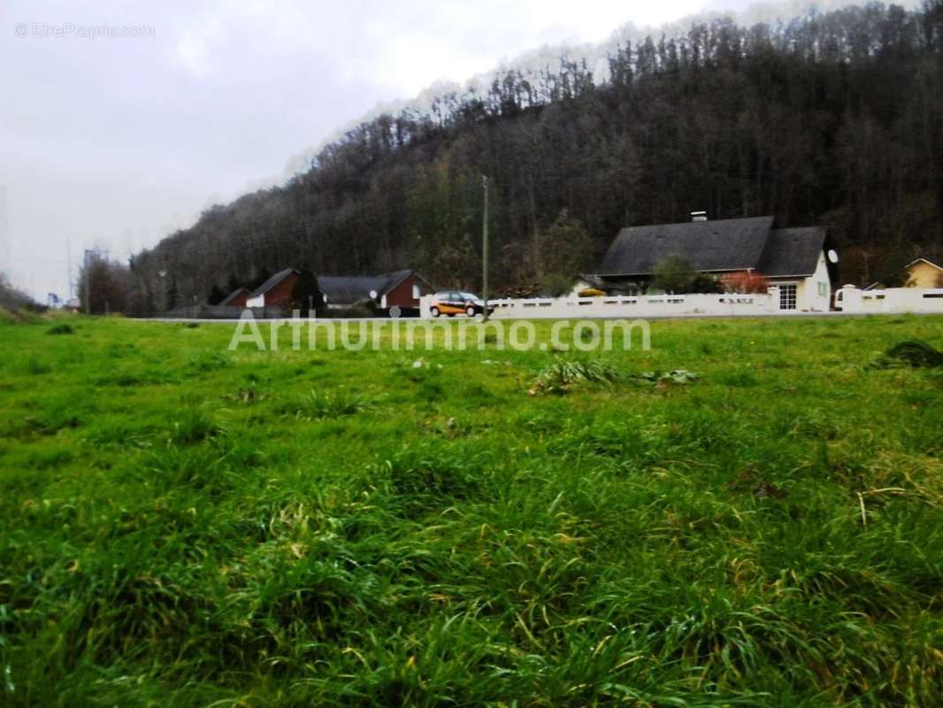 Terrain à MONTAUT