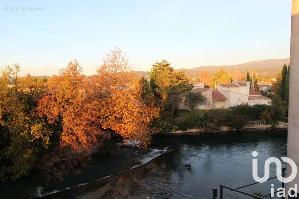 Photo 7 - Appartement à L&#039;ISLE-SUR-LA-SORGUE