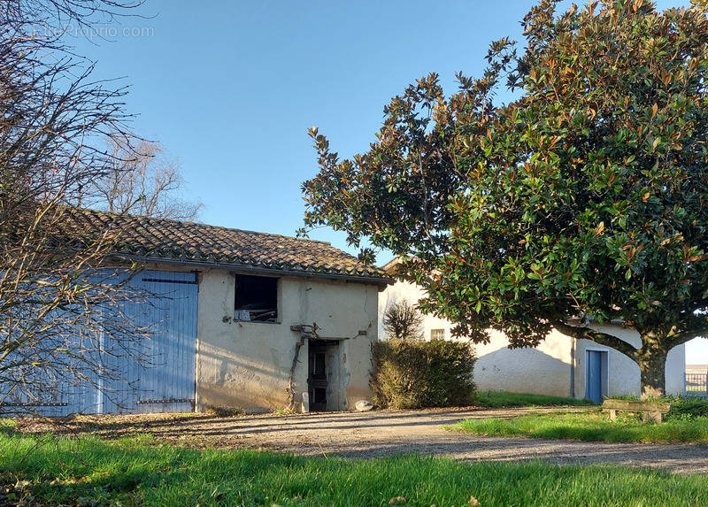 Maison à NEGREPELISSE