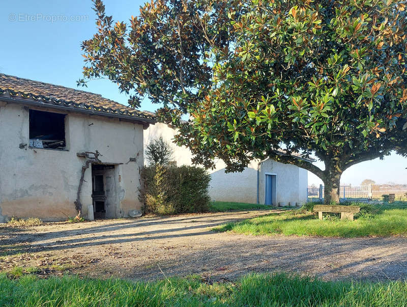 Maison à NEGREPELISSE