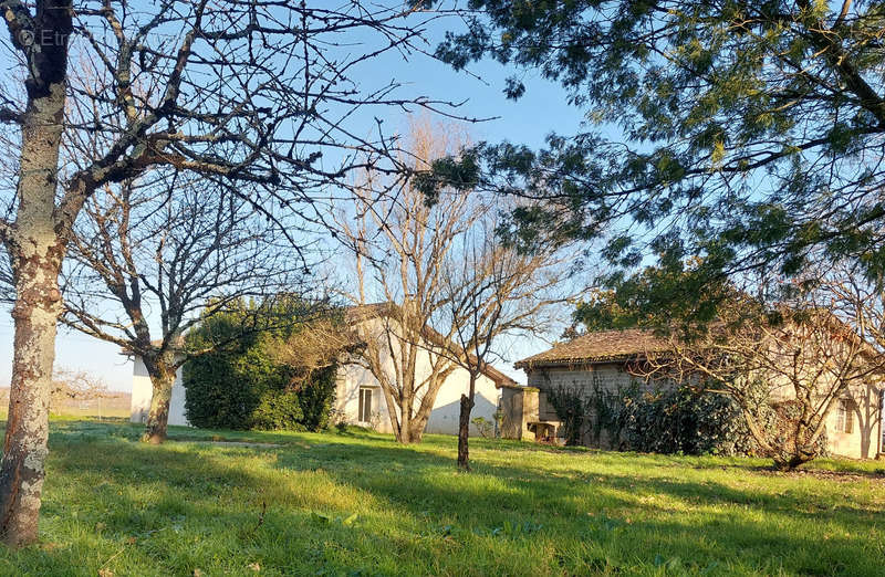 Maison à NEGREPELISSE