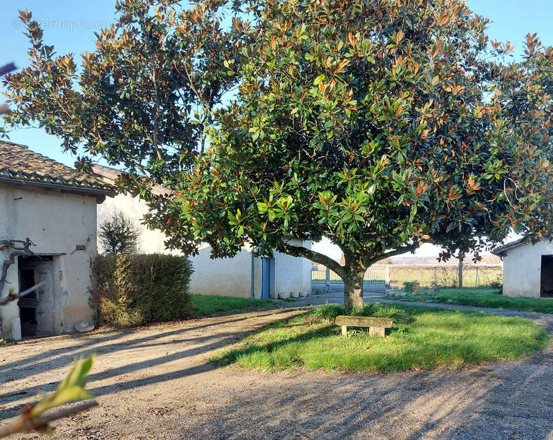 Maison à NEGREPELISSE