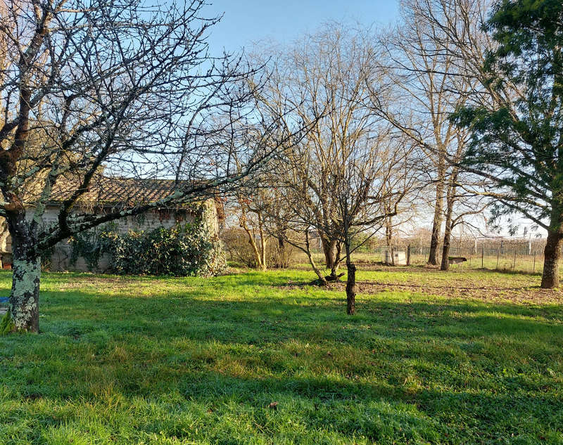 Maison à NEGREPELISSE