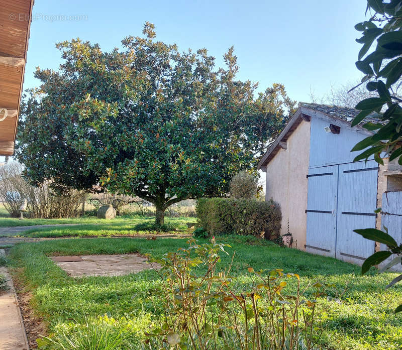 Maison à NEGREPELISSE