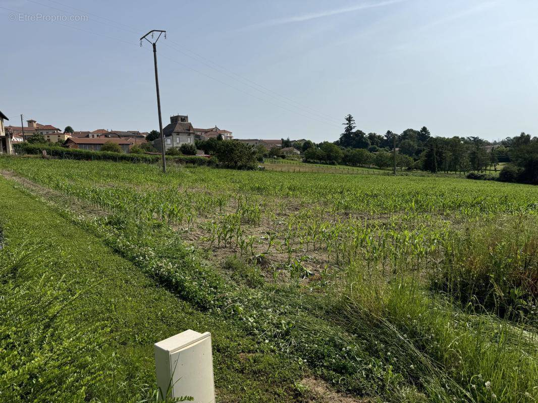 Terrain à CREMEAUX