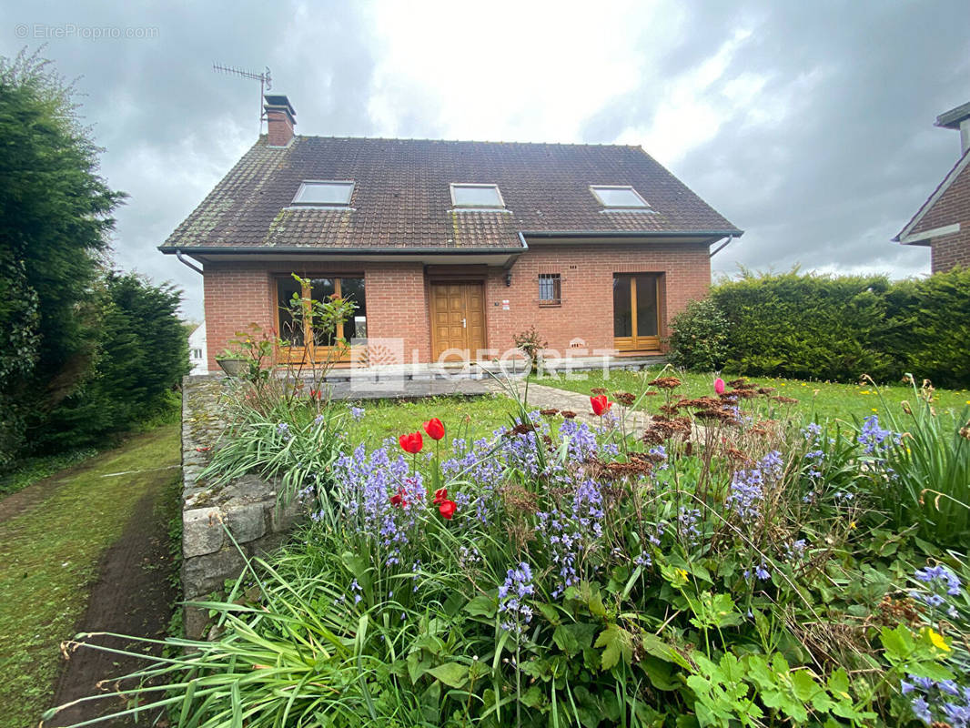 Maison à HESDIN