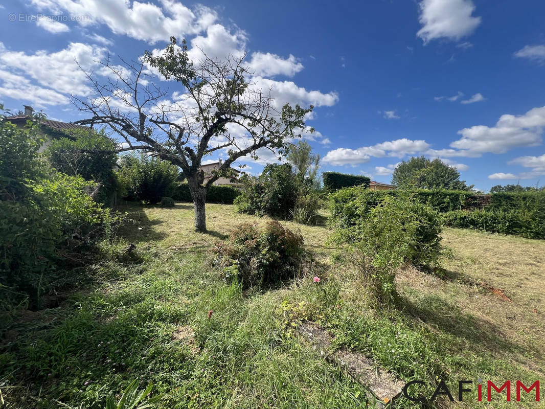 Terrain à CHAZAY-D&#039;AZERGUES