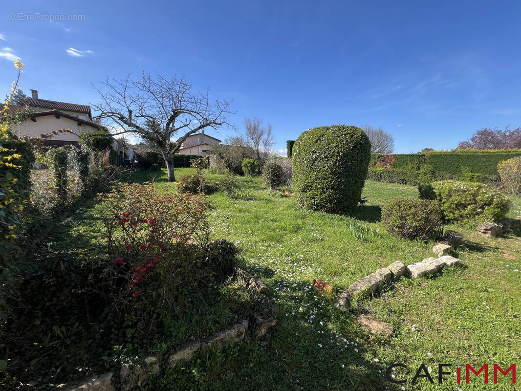 Terrain à CHAZAY-D&#039;AZERGUES