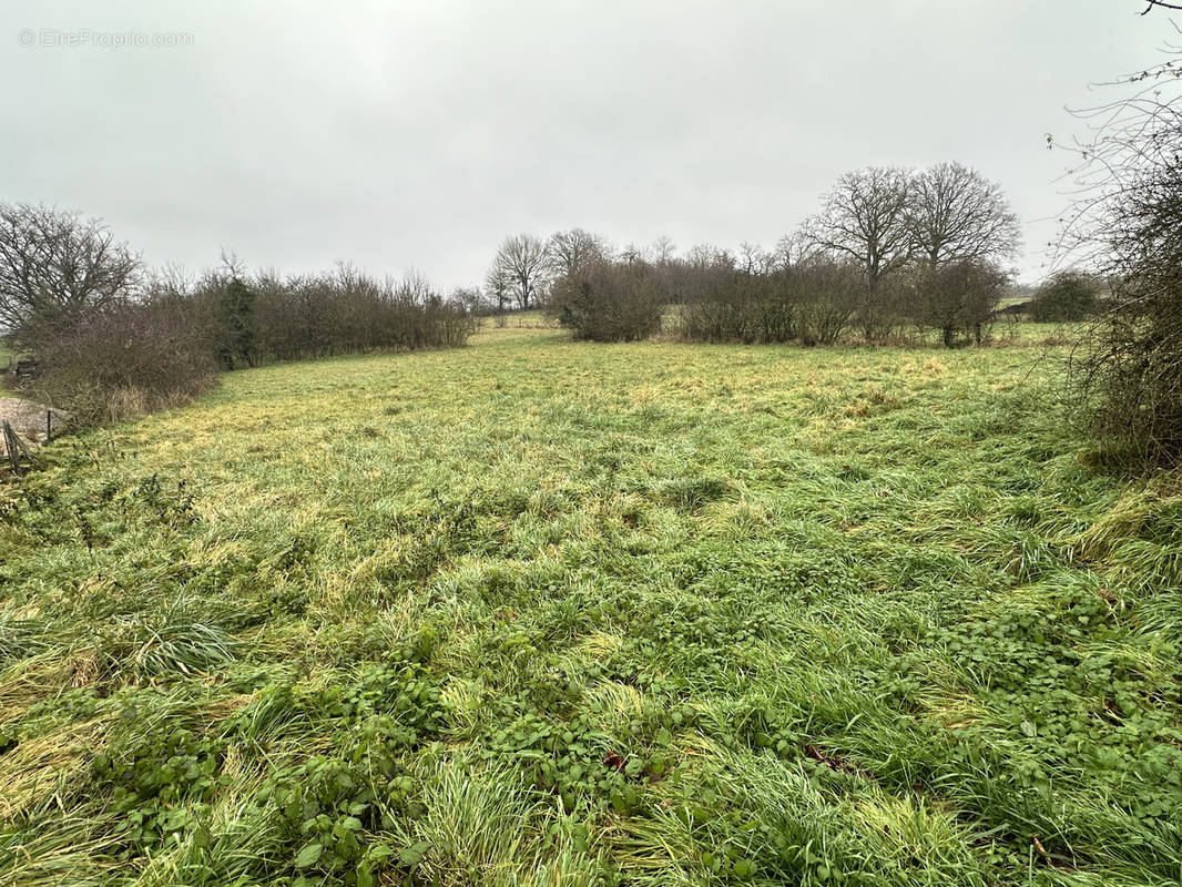 Terrain à LANDECOURT