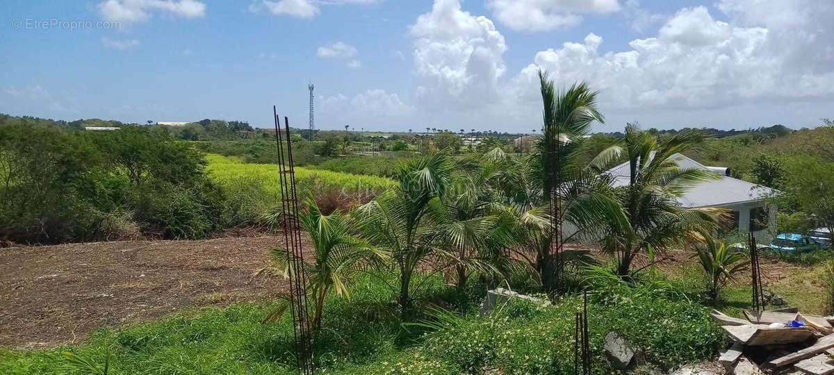 Terrain à PORT-LOUIS