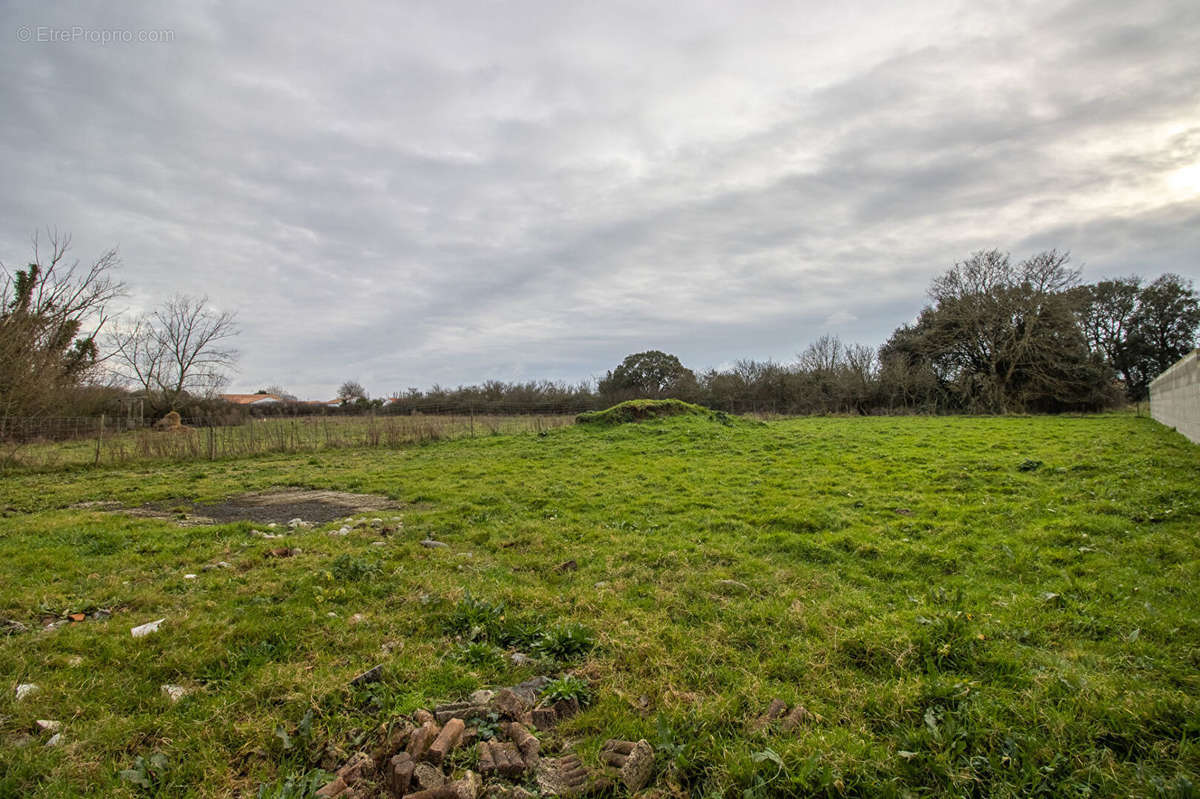 Terrain à BEAUVOIR-SUR-MER