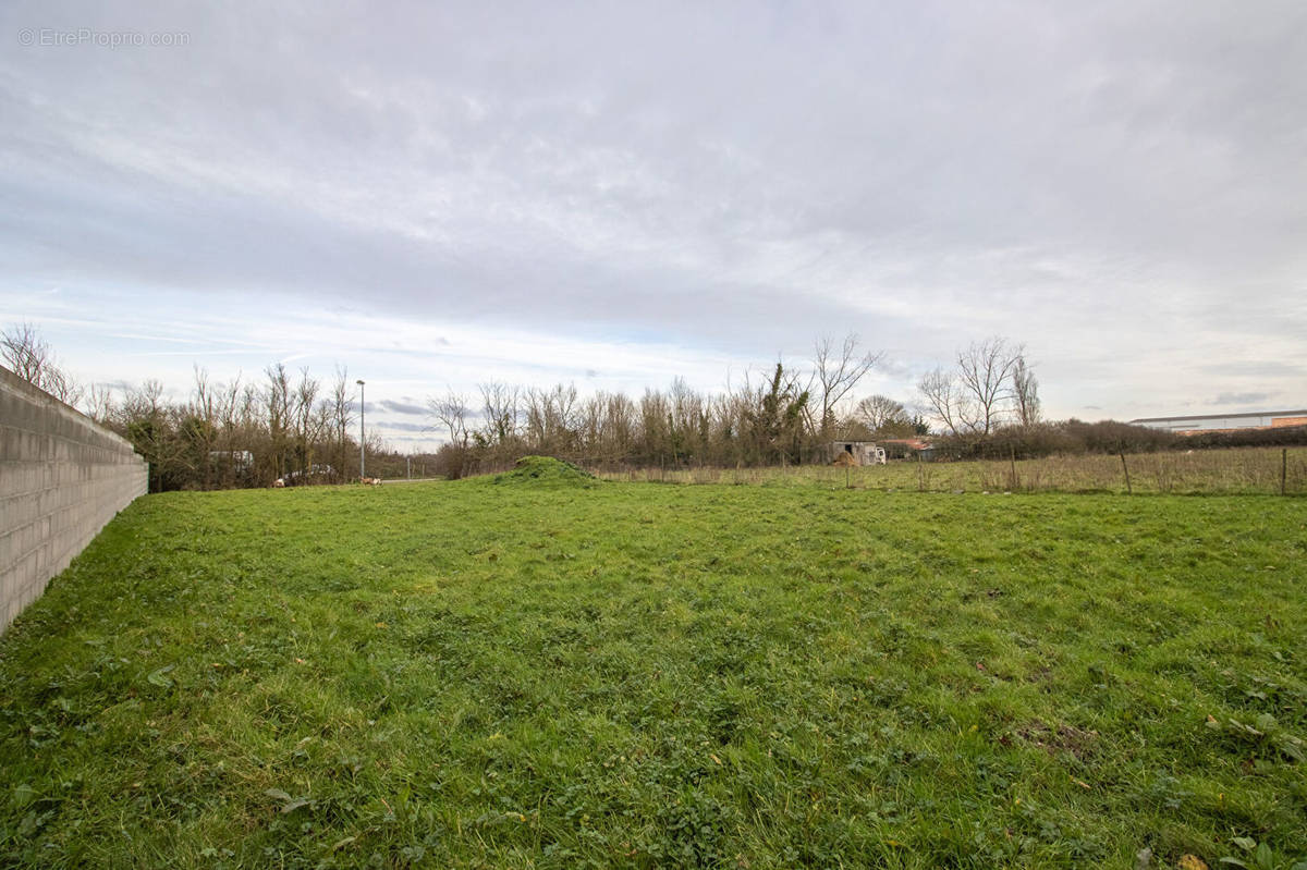 Terrain à BEAUVOIR-SUR-MER