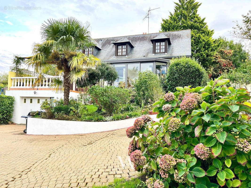 Maison à ANGERS