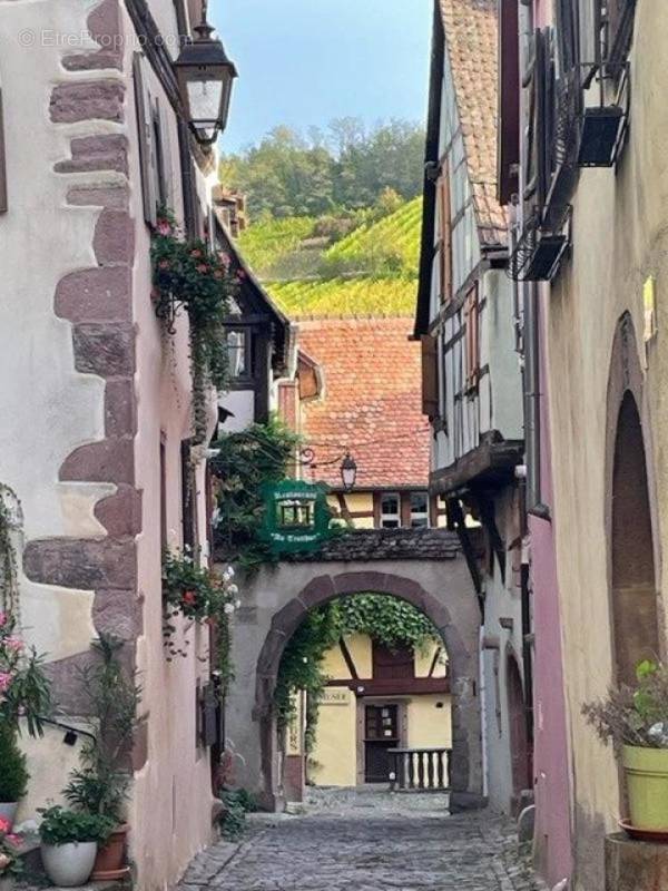 Photo 1 - Maison à RIQUEWIHR