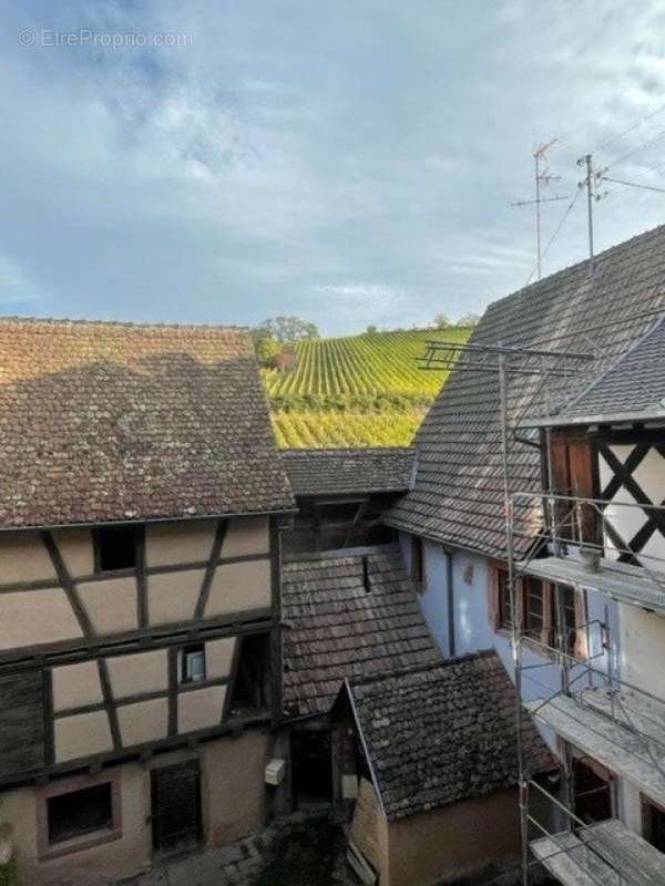 Photo 3 - Maison à RIQUEWIHR