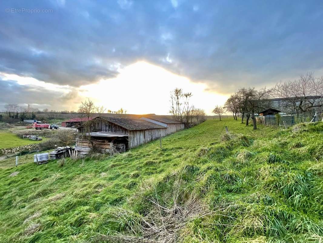 Terrain à WILLGOTTHEIM