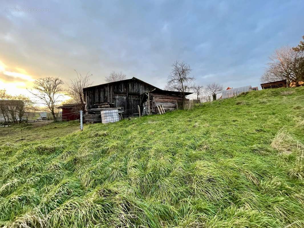 Terrain à WILLGOTTHEIM