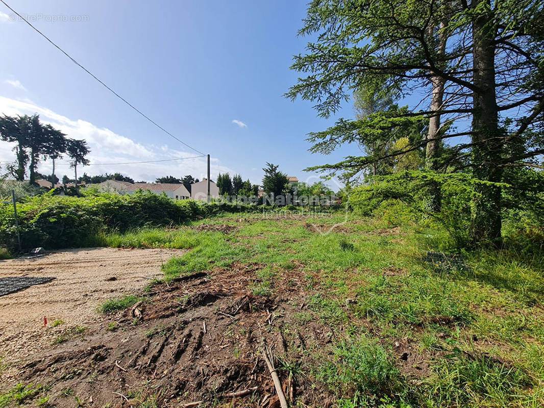 Terrain à MONTEUX