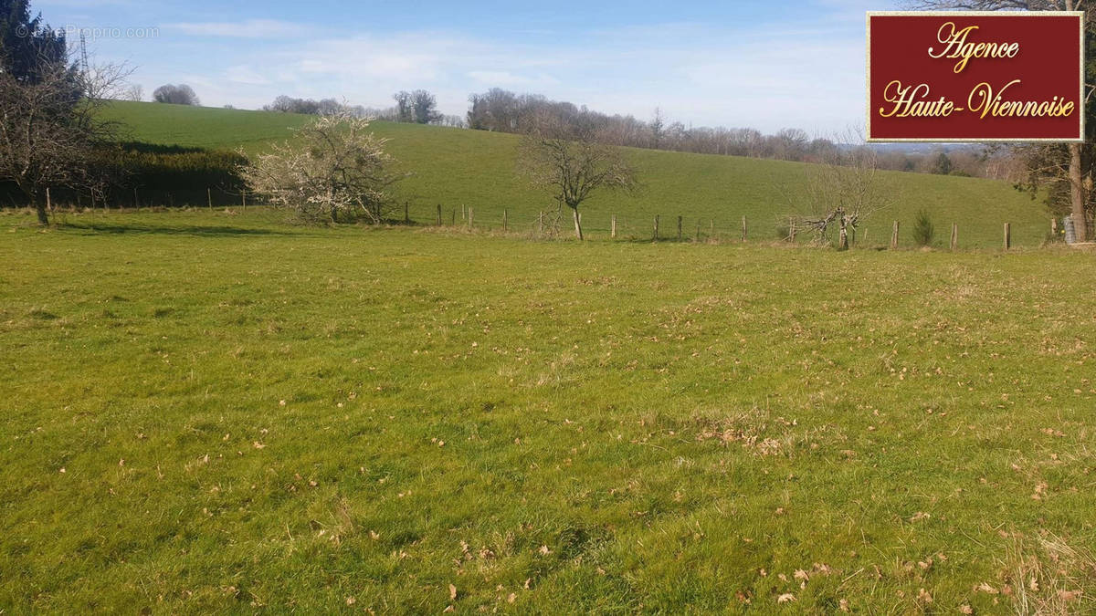 Terrain à SAINT-MARTIN-TERRESSUS