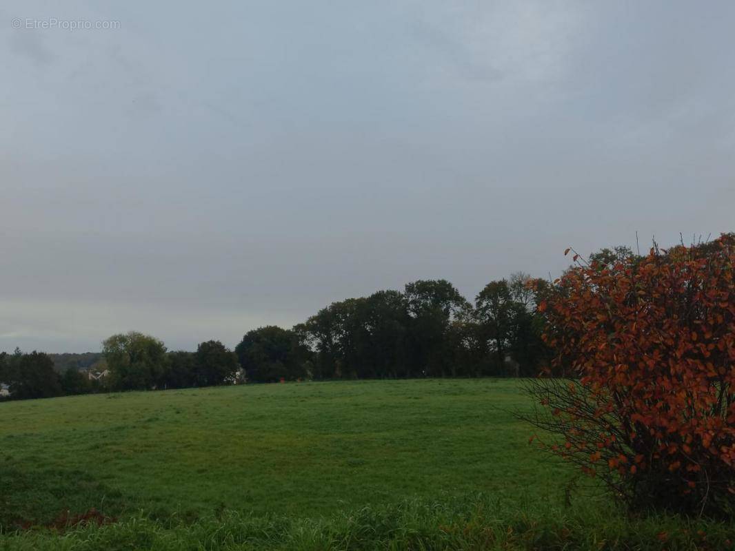 Terrain à PLOUAY