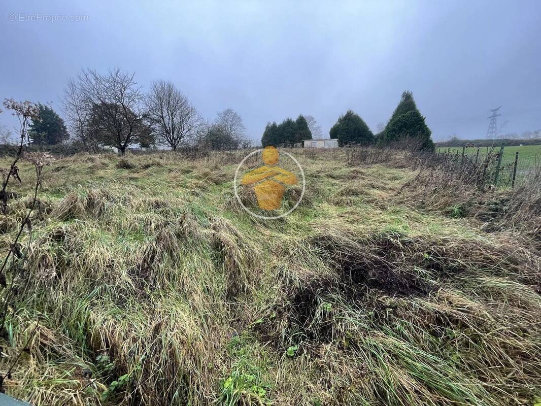 Terrain à SERVAIS