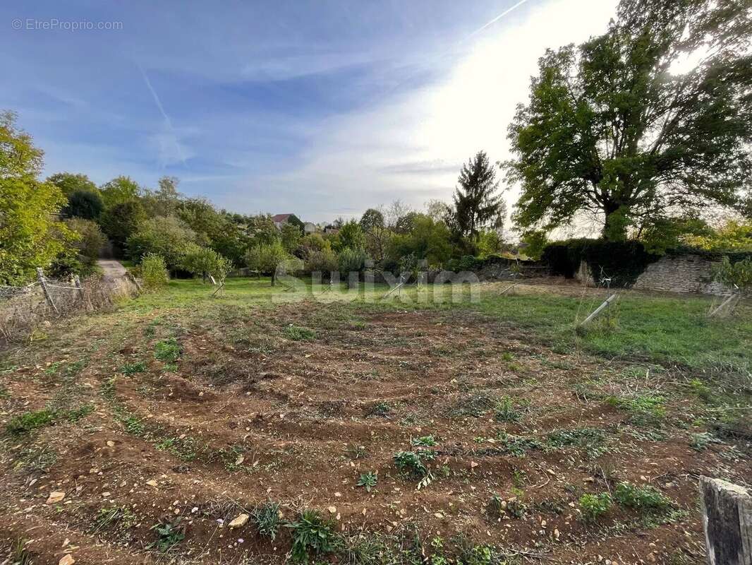 Terrain à L&#039;ISLE-SUR-SEREIN