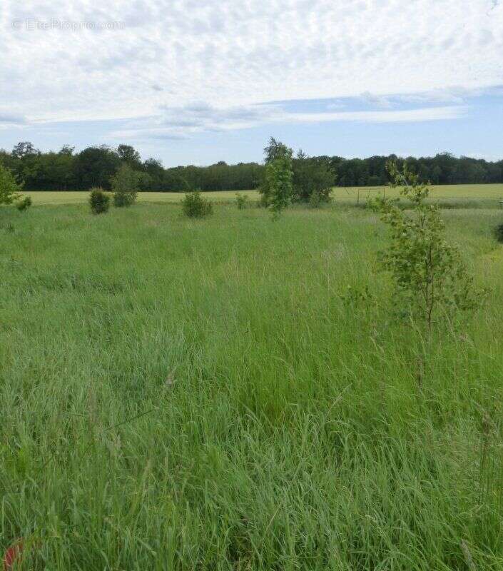 Photo 2 - Terrain à EVREUX