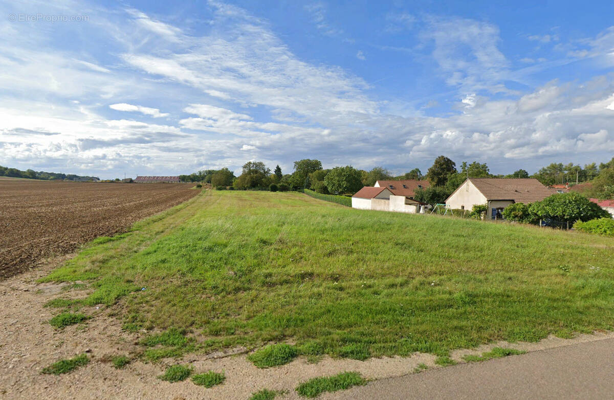 Terrain à CHAMPIGNY